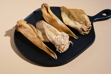 Pferdeohren